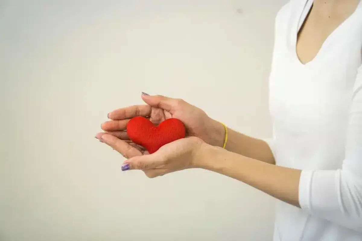 Penalties Applicable to Charities for Issuing False or Incorrect Donation Receipts